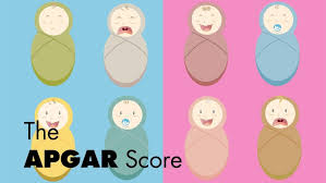 Apgar Score Apgar Score Chart And Interpretation