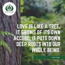 When one tree is cut down, one new plant should be planted at a new place to maintain the balance. Tree Quotes Ostvig Tree Care