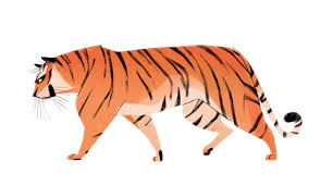 683 Stripes Drawing Stripey Babies Never Gets Old Tiger Art Big Cats Art Cat Drawing