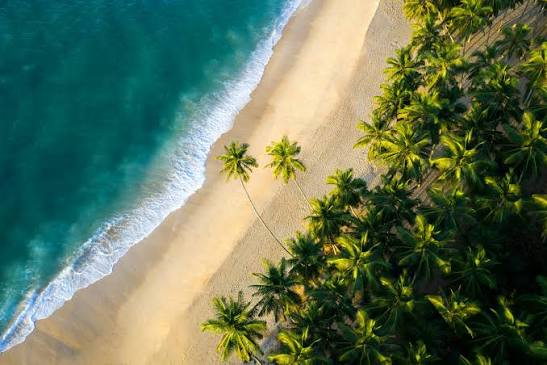 Sri Lanka Beach Coastline