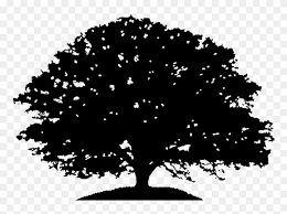 Black And White Tree Images Clip Art Pin By Pongsathast Jiraprasertsuk On Tree Of Life White Oak Tree Oak Tree Silhouette Silhouette Drawing