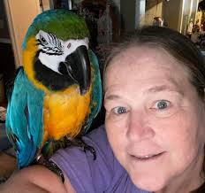 Welcome to Macaw Free Flight World