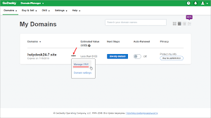 Connect Your Bitrix24 Sites Website Or Bitrix24 Online Store To Your Own Domain