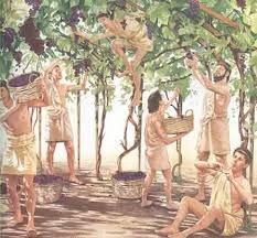The Lowest Class Of Sparta Helots They Were Aloud To Live In Their Own Accommodations Keep Some Farming Yields And Have Grecia Antigua Ilustraciones Grecia