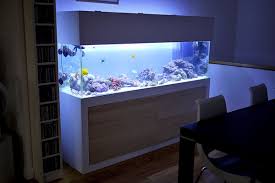 Amazon's choice for modern aquarium. 20 Modern Aquariums For Cool Interior Styles Home Design And Interior Fish Tank Stand Tank Stand Aquarium Stand