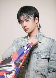 Cung tuấn, tin tức hình ảnh mới nhất luôn được cập nhật liên tục, chủ đề cung tuan : 1 Ä'á»™i TrÆ°á»Ÿng VÆ°Æ¡ng Nháº¥t Bac Sanh Vai Cung Ai Táº¡i Street Dance Of China 4 Imotphim