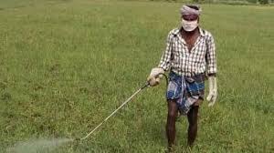 Pest control is a secure career especially when. Petition Do Not Introduce Pest Control Operators Pco For Spraying Weedicide Glyphosate Change Org