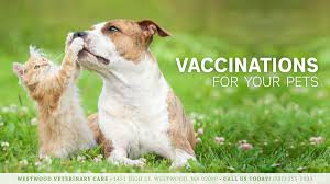 These services are available to all customers to help improve the lives of their pets. Low Cost Pet Vaccination Clinics Set
