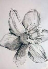 125 Best Flower Tattoos Tattoo Ideas In 2021 Narcissus Tattoo Daffodil Tattoo Daffodil Drawing