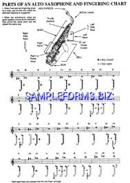 Octave Mandolin Chord Chart Pdf Free 6 Pages