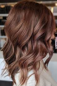 20 Hair Colors For Brunettes Going Gray Hardly Any Ladies Are Brought Into The World Blonde And Even Less Are No Idee Couleur Cheveux Couleur Cheveux Cheveux