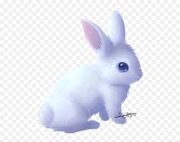Download 2,762 realistic rabbit stock illustrations, vectors & clipart for free or amazingly low rates! Easter Bunny Domestic Rabbit Hare Clip Art White Rabbit Realistic Cute Bunny Drawing Png Rabbit Transparent Free Transparent Png Images Pngaaa Com