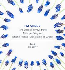 61 I M Sorry Quotes To Personalize Your Apology