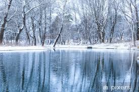 Fotobehang Niet bevroren vijver in de winter - PIXERS.NL