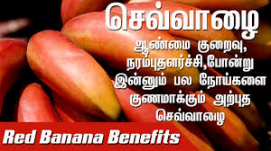 Red Banana Benefits ச வ வ ழ ய ன மர த த வ பயன கள Red Banana Benefits Youtube