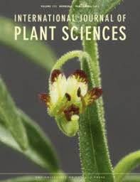 Image result for Thomandersia