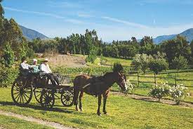 23,674 likes · 2,556 talking about this · 317 were here. Melipilla 2021 Best Of Melipilla Chile Tourism Tripadvisor