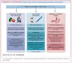 Image result for Obesity Management