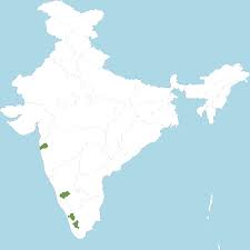 Image result for Cleistachne