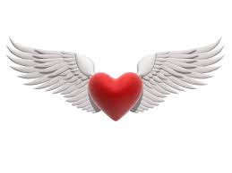 Winged Heart Heart With Wings Heart With Wings Tattoo Heart Drawing