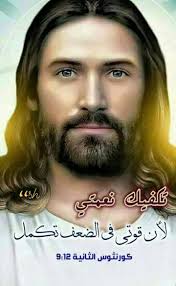 فتشوا الكتب