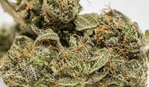 White Lightning Strain Review Bonza Blog