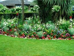Plant selection should always be governed by research into the qualities of the specific specimens under consideration, and sometimes you will need to make a compromise. Tips Information About General Flower Garden Care Gardening Know How