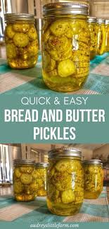 The Best Bread And Butter Pickle Recipe Audrey S Little Farm In 2020 Pickling Recipes Bread N Butter Pickle Recipe Pickle Butter