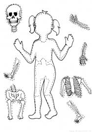 Iskelet Kalibi Okuloncesitr Preschool Alfabe Calisma Sayfalari Anaokulu Temalari Anaokulu