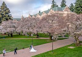 We did not find results for: Seattle Now Then Savery Cherries Dorpatsherrardlomont