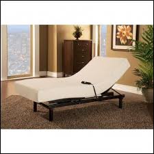 Twin Size Sleep Number Mattress Sleep Number Mattress Adjustable Beds Furniture