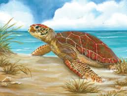 Maybe you would like to learn more about one of these? Beach Puzzle Collection Jigsaw Puzzles