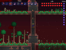Only a select few are shade varieties. Tree Terraria Wiki Fandom