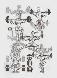 Pin On Spor