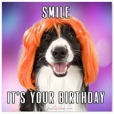 30 best happy birthday message to make your loved ones day special a birthday is a day when over 45 best happy birthday quotes and wishes for friends and family birthday a special day in. The Funniest And Most Hilarious Birthday Messages And Cards