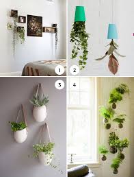 12 Unique Hanging Plants The Interior Collective Hanging Plants Indoor Plant Wall Plant Decor