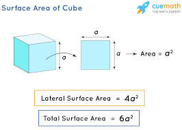 You also know that because the figure is a cube, the area of each of the six sides will be the same. Surface Area Of Cube Formula Definition Examples