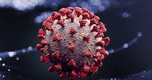 Un prim caz suspect de infectare cu noua variantă de coronavirus, omicron, a fost detectat în germania la o persoană întoarsă recent din africa de sud, au anunţat sâmbătă autorităţile regionale din landul hessa, potrivit agerpres. Riscul Ca Varianta Omicron SÄƒ Se RÄƒspandeascÄƒ In Europa Este De La Ridicat La Foarte Ridicat