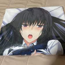 未開封品 真剣で私に恋しなさい! 林冲 抱き枕カバー みなとそふと ははを | www.schmetterlinghaus.at