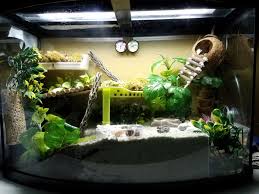 Hermit Crab Crabitat With Swimming Pool And Coconut Home 36g Bowfront Setup Hermies Love The Moss Pit And Cl Hermit Crab Tank Hermit Crab Hermit Crab Habitat