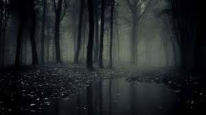 Background Dark Forest 2 Gifyu 14,350 best dark forest background ✅ free stock photos download for commercial use in hd high background forest background dark background forest dark dark forest nature season pattern. background dark forest 2 gifyu
