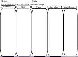 • • • classification table • page 5 one per pupil • pages 6, 7, and 8. 5 Vertebrates Worksheets Teaching Resources Teachers Pay Teachers