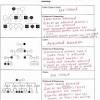 Create joseph and ritas family pedigree and include all the correct blood 1