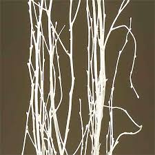 Birch Branches For Sale Birch Branches 20 Bundles White Birch Branches Birch Centerpieces Branch Decor