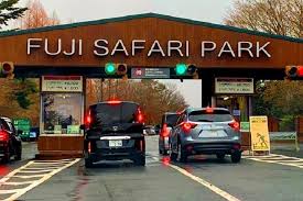 Vá em safari quando houver a escassez de água para ver a maioria dos animais ao mesmo o quênia é frequentemente retratado como o melhor destino de safari, e concordamos. Fuji Safari Park Mejor Safari De Japon Entradas Y Horarios