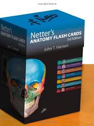  Netters Flashcards