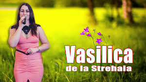 Download vasilica de la strehaia live 2016 botez erik. Adi Si Vasilica Brumar Colaje Sarba Live Muzica De Petrecere Botez Patrick Nicholas By GÄƒrÄƒiacu Claudiu