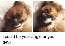 25 Best Memes About I Could Be Your Angle Or Your Devil I Could Be Your Angle Or Your Devil Memes