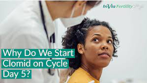 Why Do We Start Clomiphene Citrate (Clomid) On Day 5 Of The Cycle?