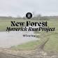 Wilverley Inclosure/Plain 5km + 5km event in New Milton
